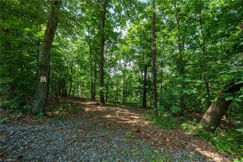 LAND - Moravian Falls, NC