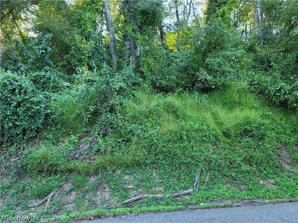 Picture 2