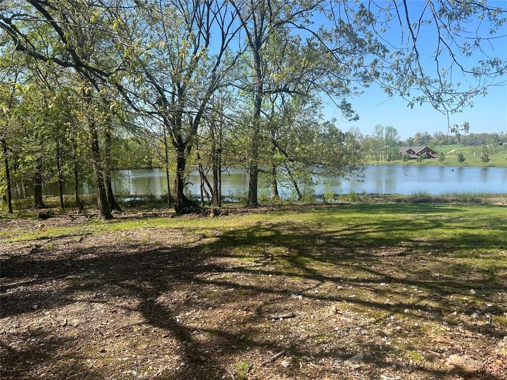 Picture 13