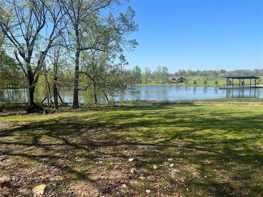 Picture 6