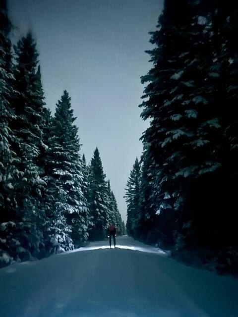 Picture 27