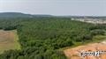 Wooded Commercial Land