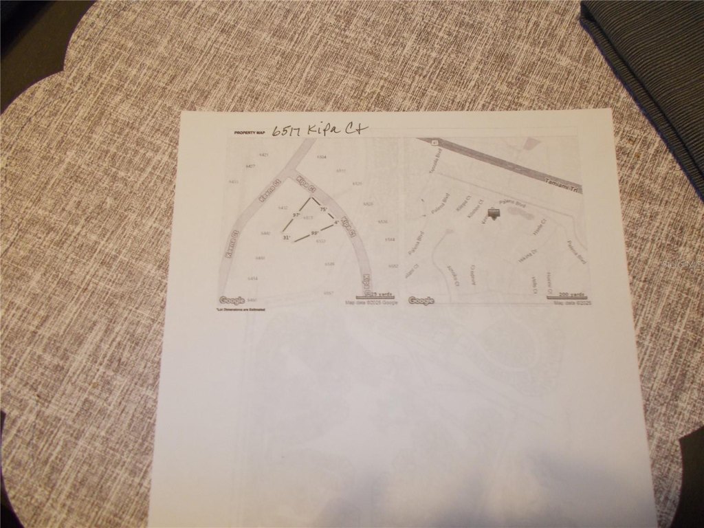 Picture 7