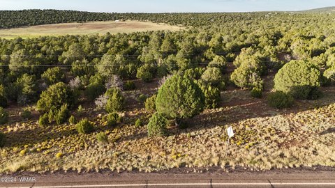 LAND - Vernon, AZ