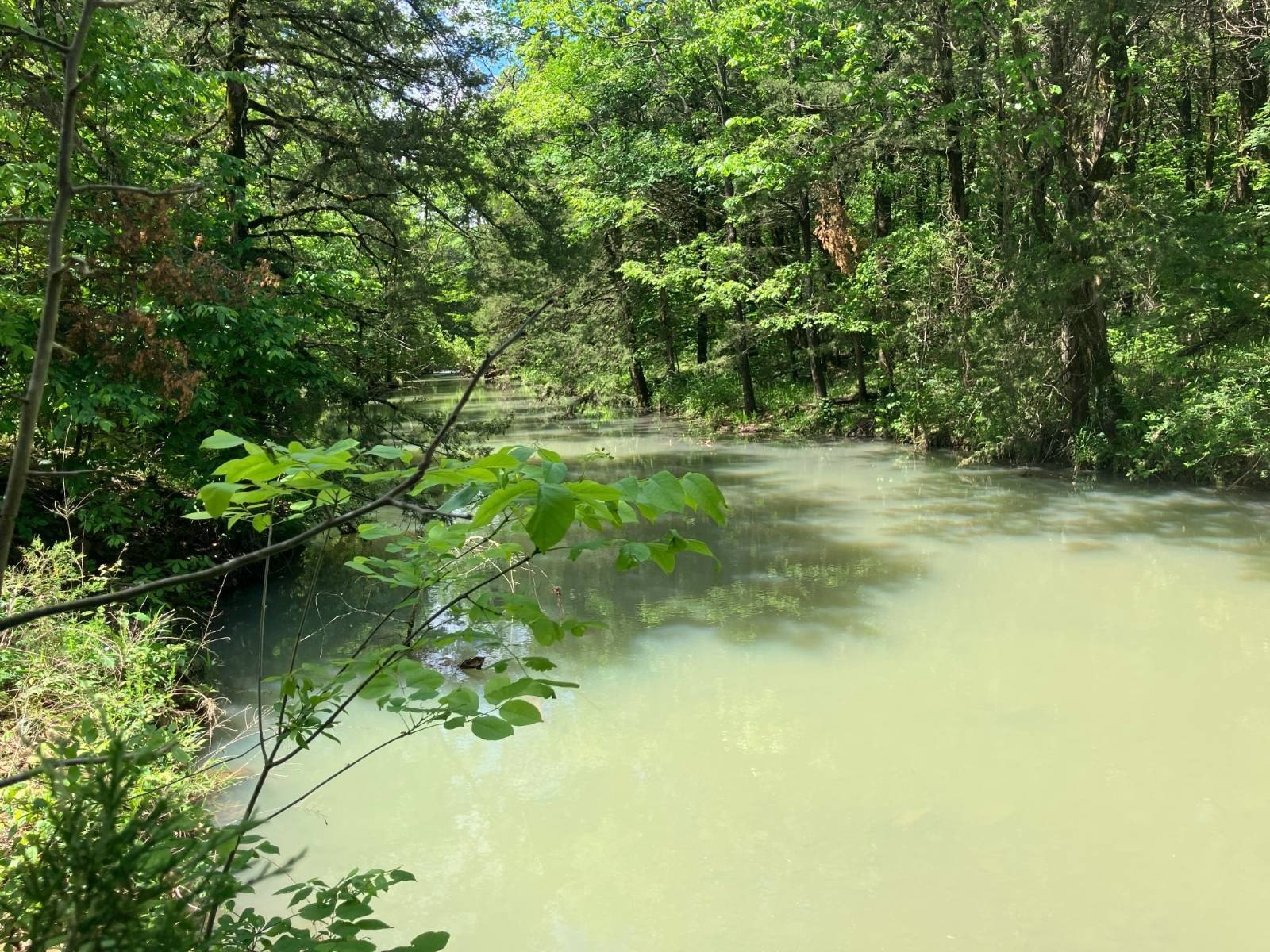 21 Acres Recreational Land Hodgen