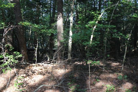 Land, GREENBACKVILLE, VA