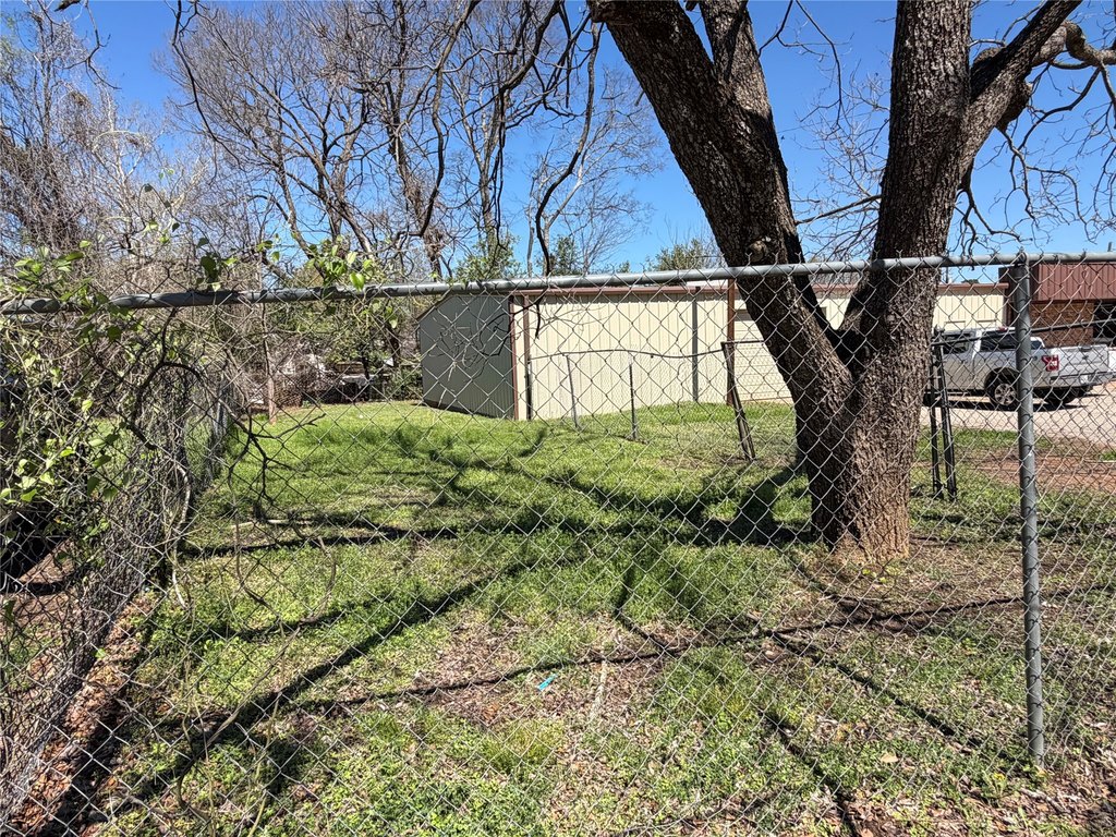 Picture 6