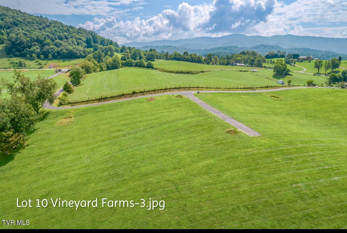 Vineyard Farms Homesite at Watauga