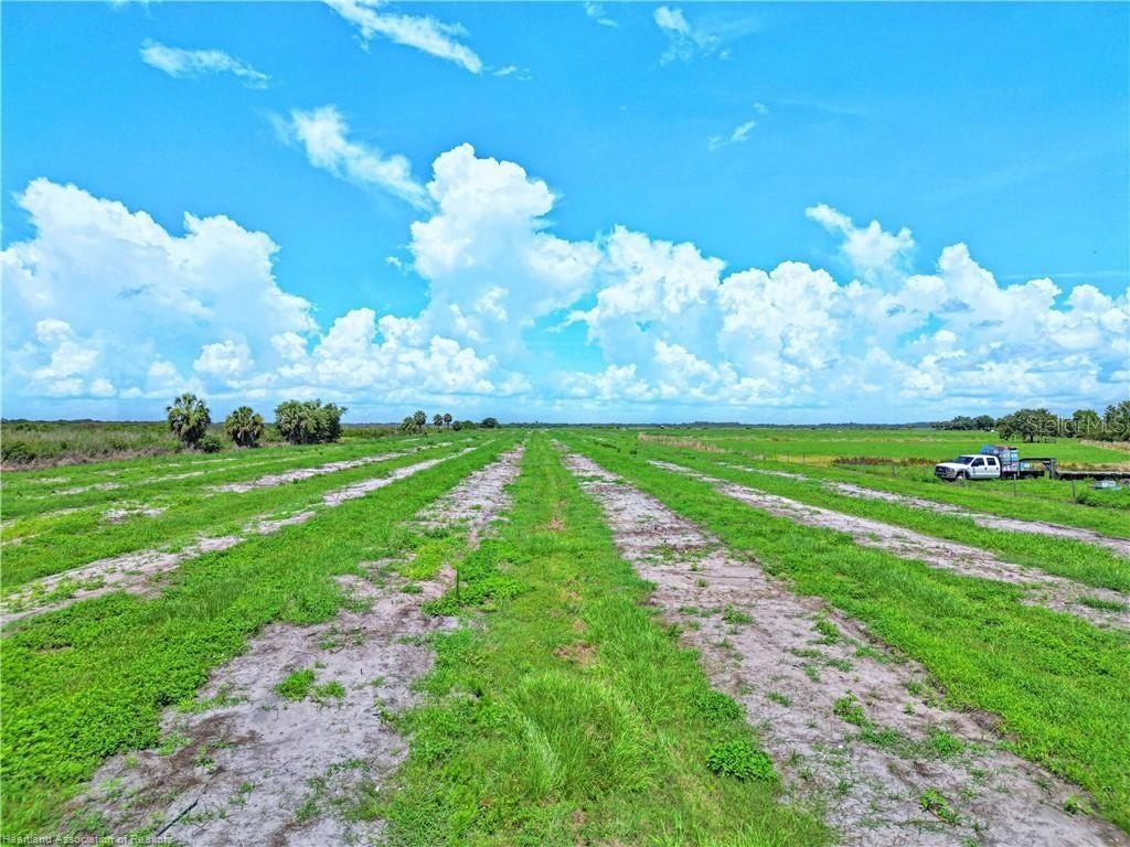 Picture 23