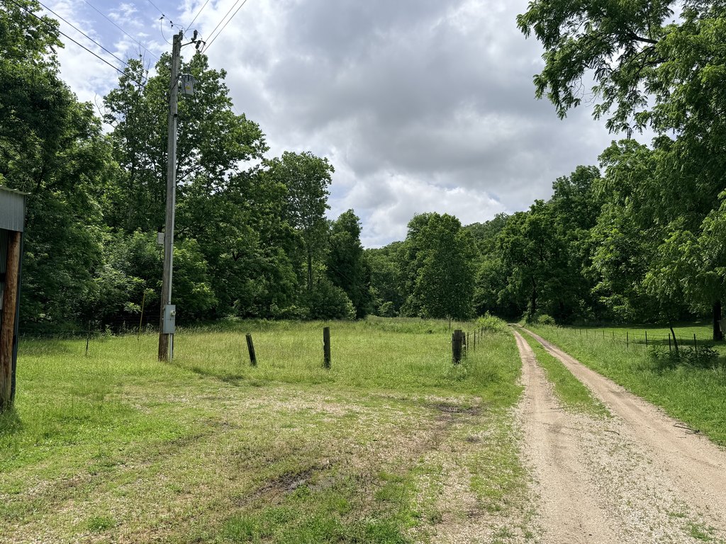 Picture 20