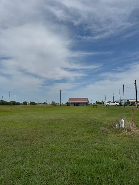 Picture 5