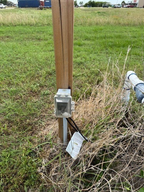 Picture 6