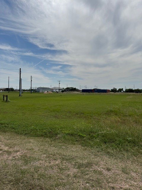 Picture 4