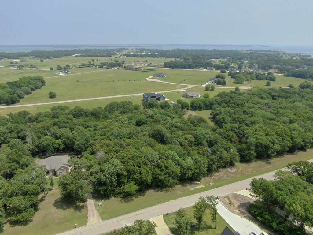 Picture 9