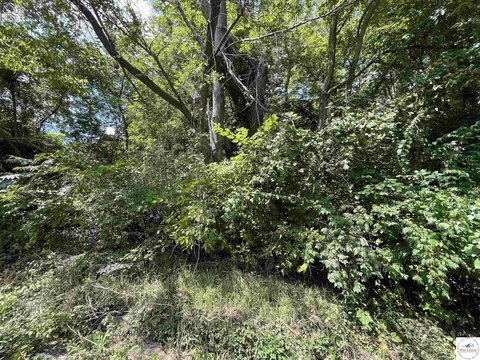 Vacant Lot Near Downtown Sedalia