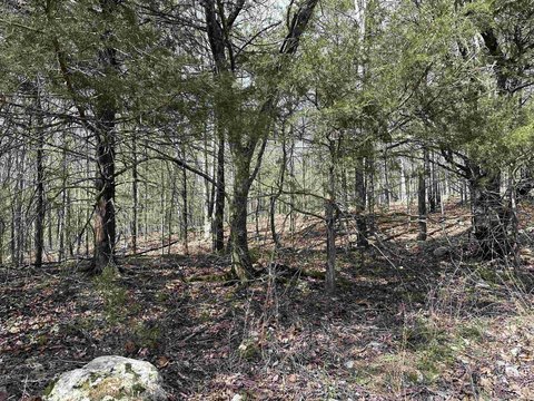 Land - Income Opportunity