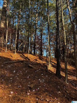 LAND - VESTAVIA HILLS, AL