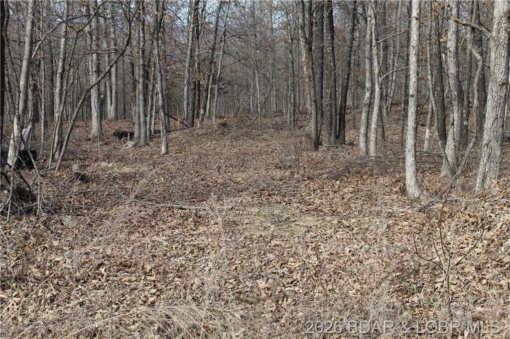 Land Parcel Near Lake Access