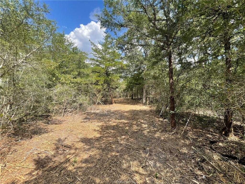 Picture 28