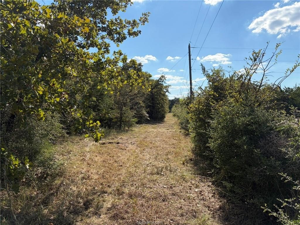 Picture 35