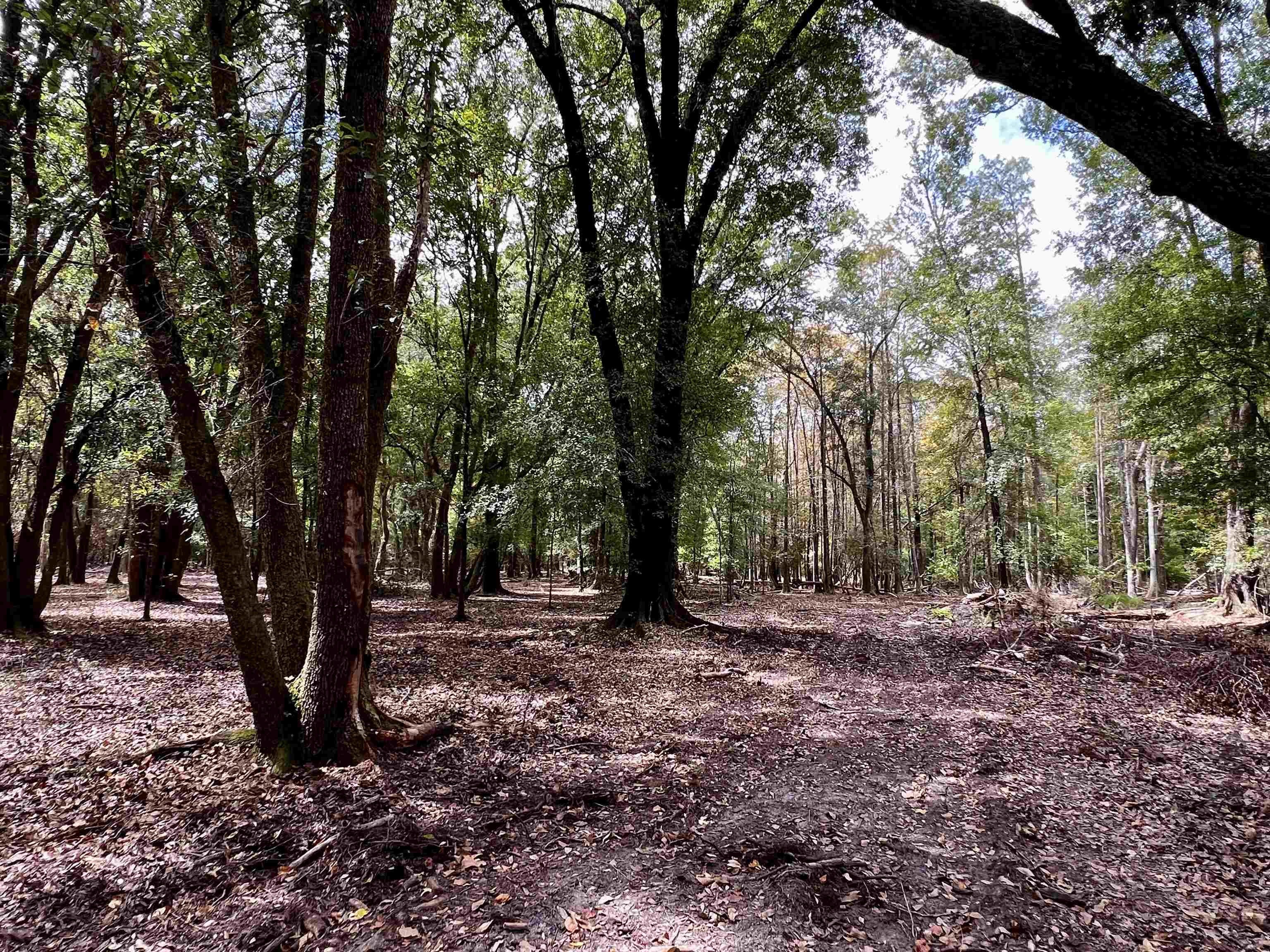 Quincy, FL Land Opportunity