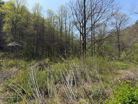 Versatile Land in Robinson Creek