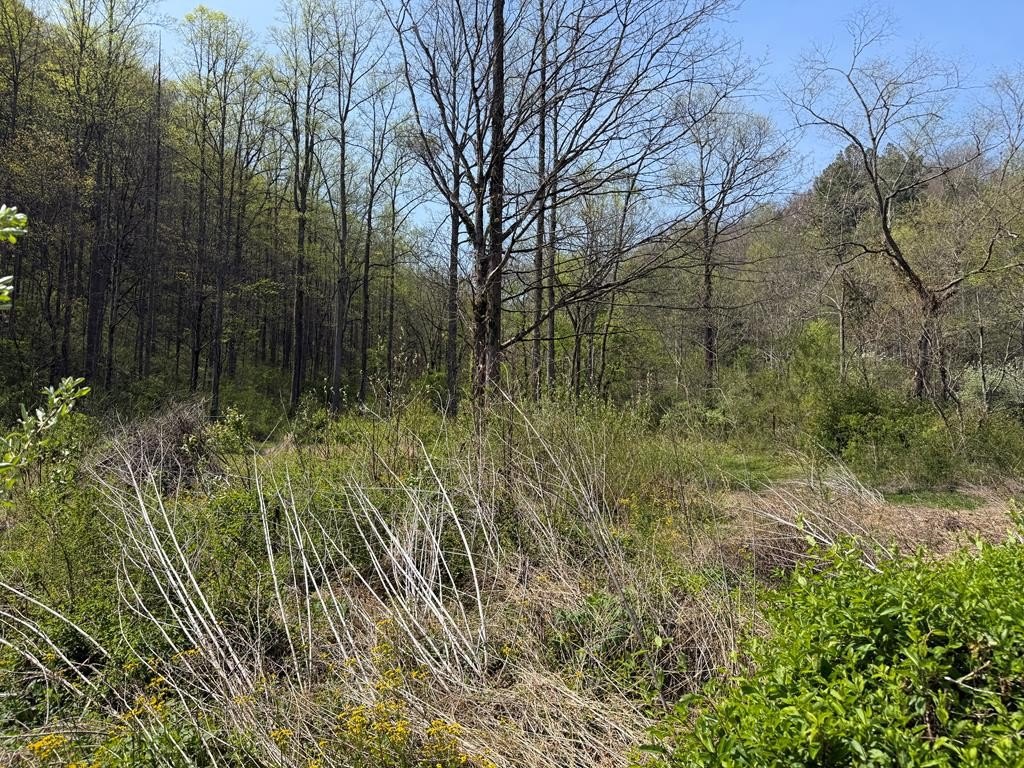 Picture 3