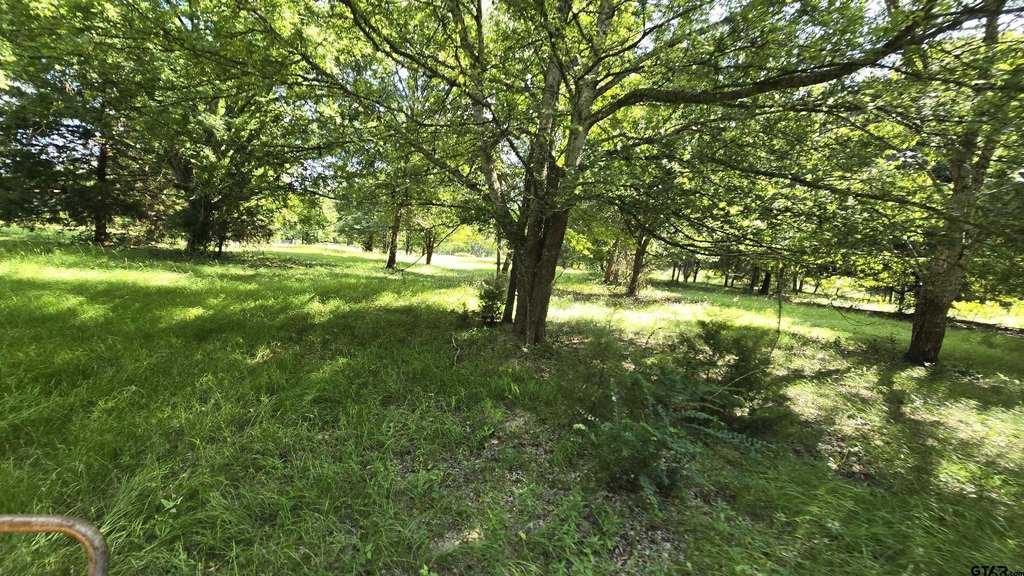 Picture 6