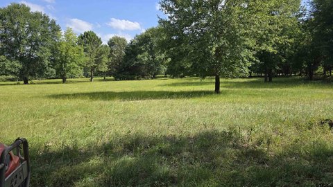 Land, Arp, TX
