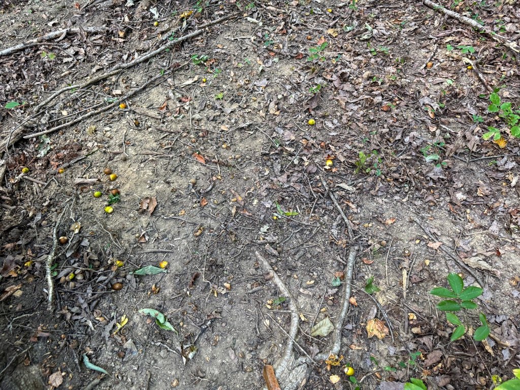 Picture 17
