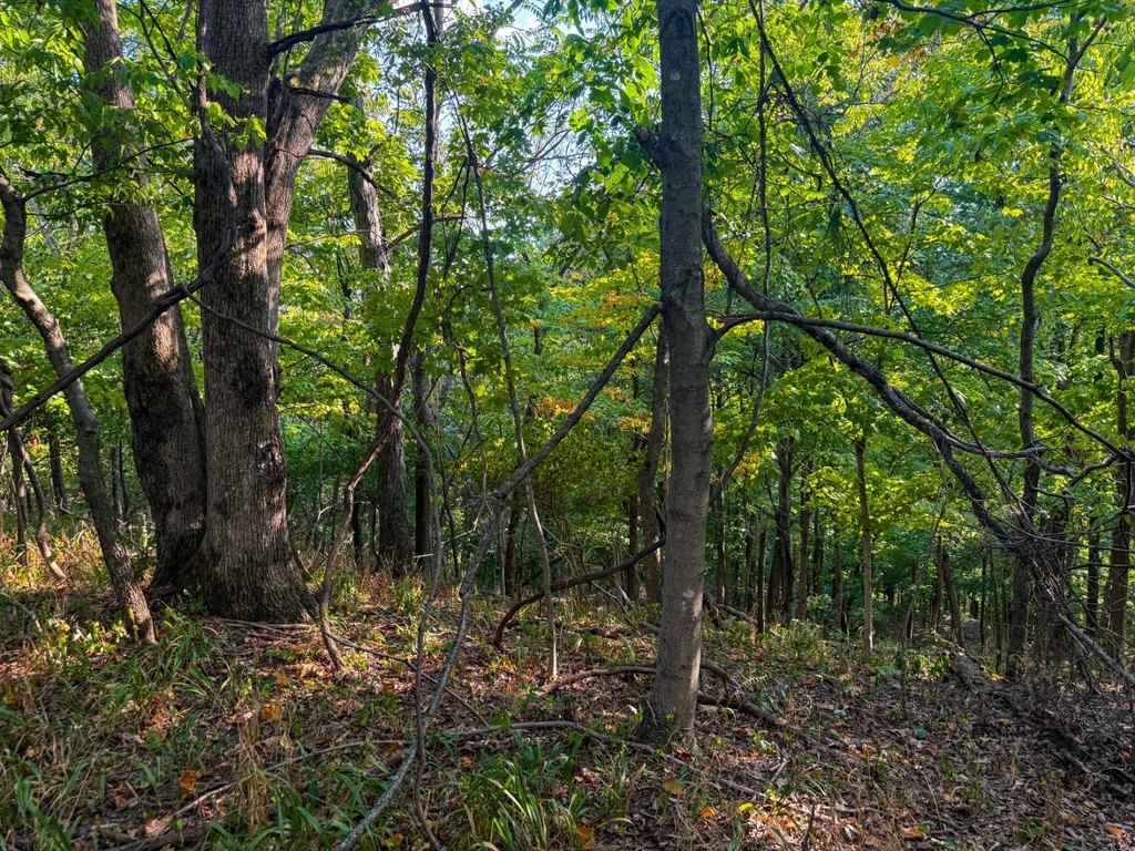Picture 42
