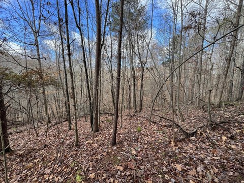 Undeveloped Land with Mountain Views