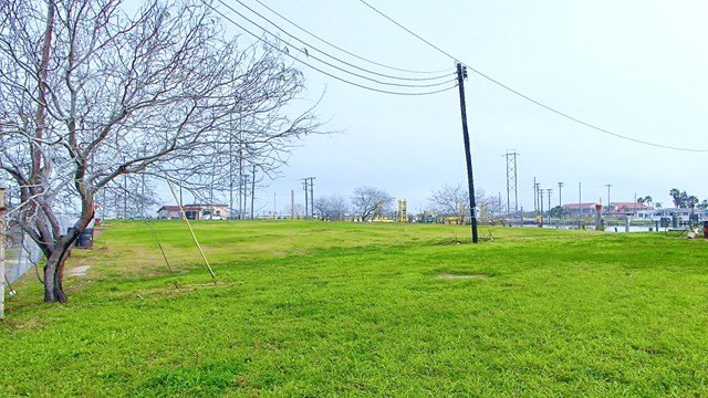 Picture 5