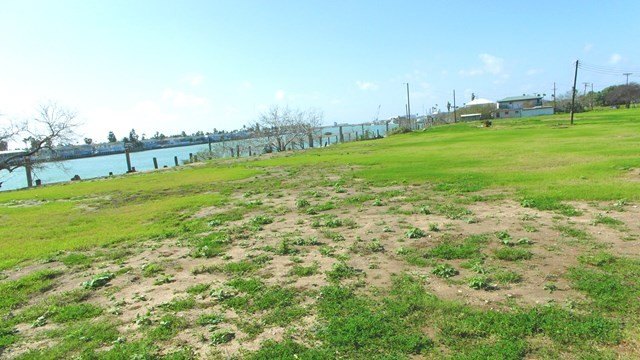 Picture 13