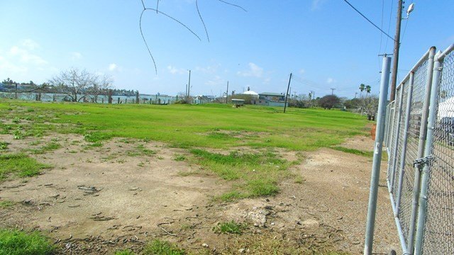 Picture 11
