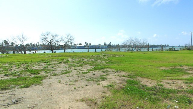 Picture 10