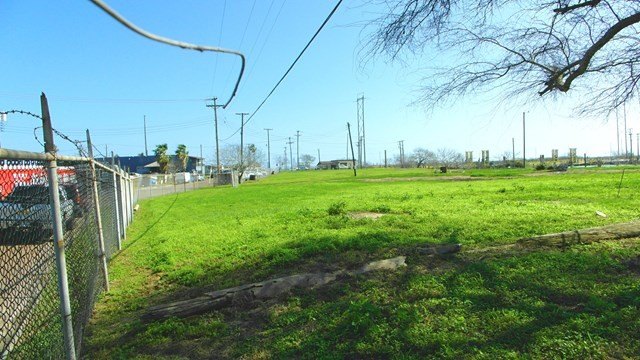 Picture 8