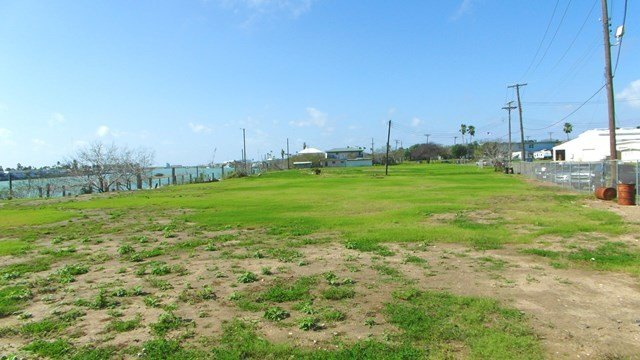 Picture 12