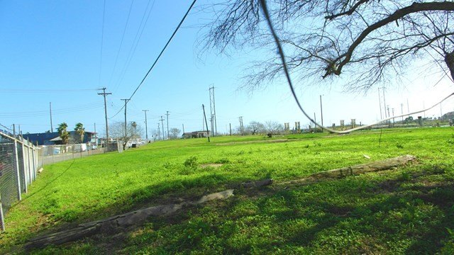 Picture 9