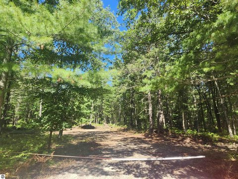 East Tawas Vacant Land