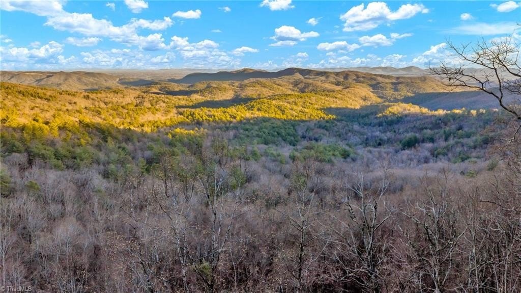 Unrestricted Land Near Blue Ridge