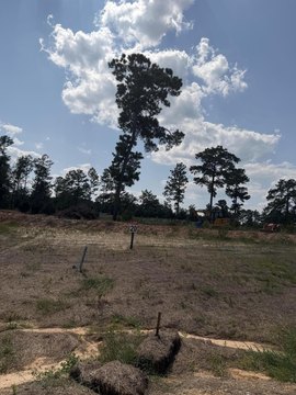 LAND - Hattiesburg, MS