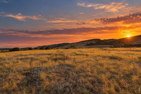 Land, Fort Collins, CO