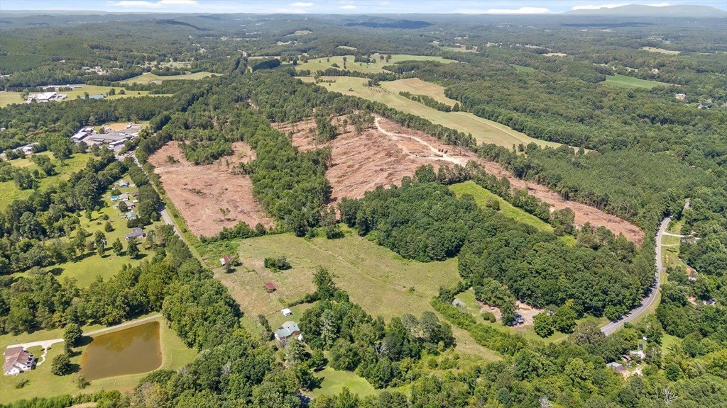 Picture 24