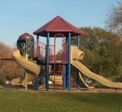 Picture 6