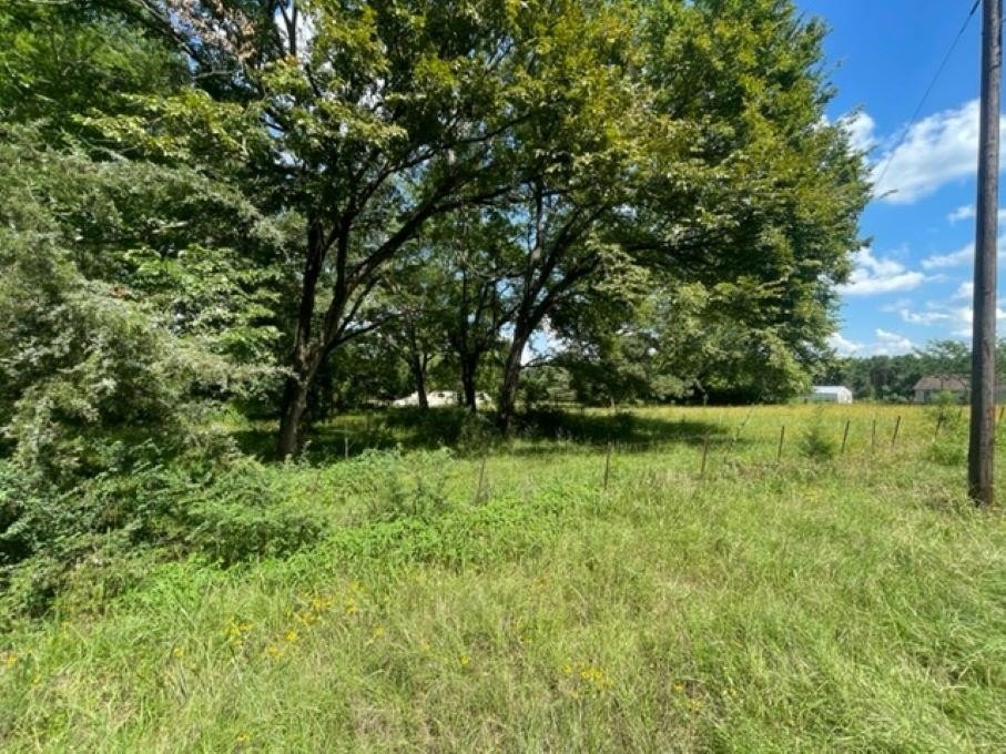 Versatile Land in Pittsburg, TX