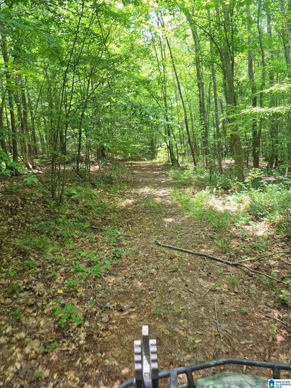 Picture 9