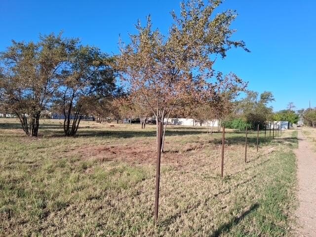 Picture 5