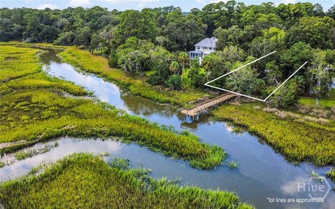 Land, Darien, GA
