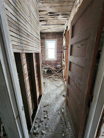 Picture 53